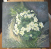 primroses